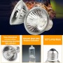 מנורת התחממות ומשקמת לצבים עם ספק UVA+UVB Full Spectrum - 25W