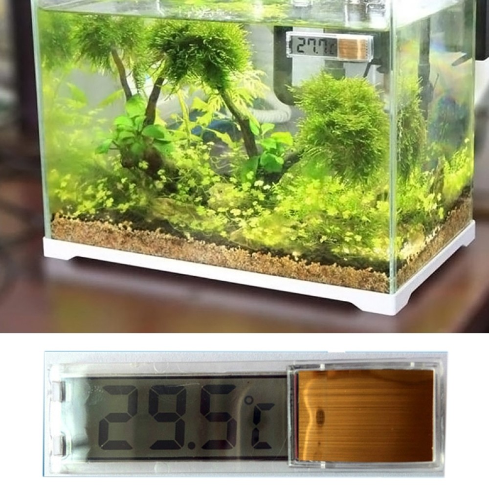 מד טמפרטורה דיגיטלי 3D מרובת תכליתות לאקווריום, גרסה בצבע זהב