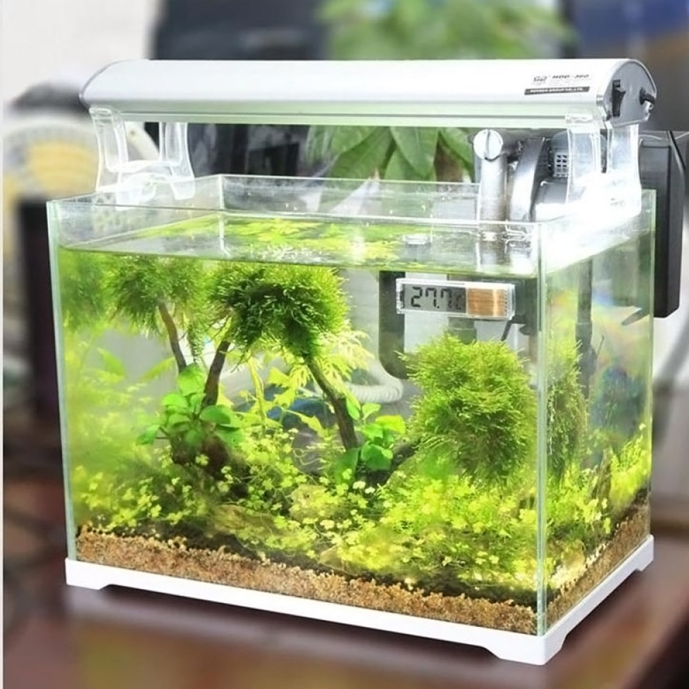 מד טמפרטורה דיגיטלי 3D מרובת תכליתות לאקווריום, גרסה בצבע זהב