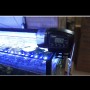 מזון אוטומטי לדגים לאקווריום דיגיטלי LCD AF-2005D, נפח: 50-100 גרם