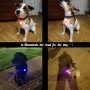 תליון לוט LED לכיסוי צוואר עם פנס דינמי לכלבים וחתולים (ירוק)
