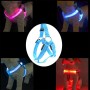 חגורת חזה ניילון עם תאורת LED דו צדדית ורצועת משיכה לחתולים וכלבים, גודל: M (כתום)