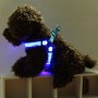 חגורת חזה ניילון עם תאורת LED דו צדדית ורצועת משיכה לחתולים וכלבים, גודל: M (כחול)