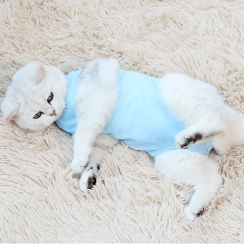 1. Material: fabric
2. Large coverage area, preventing licking behavior
3. Effectively stabilize the wound and help heal
4. Light-colored design, wound problems can be found in time
5. Paste design, tight fit and prevent falling off
6. S: neck circumferen