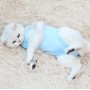1. Material: fabric
2. Large coverage area, preventing licking behavior
3. Effectively stabilize the wound and help heal
4. Light-colored design, wound problems can be found in time
5. Paste design, tight fit and prevent falling off
6. S: neck circumferen