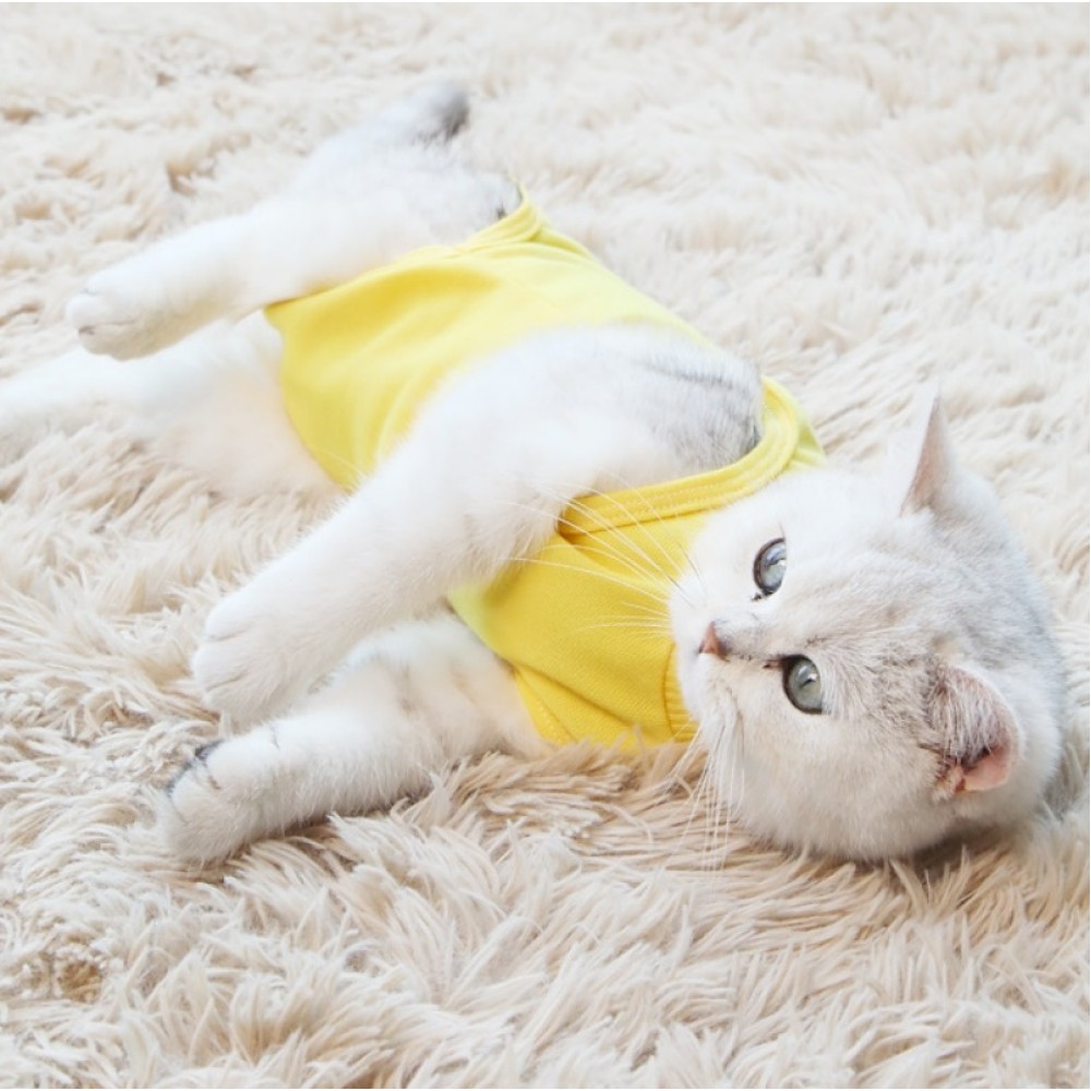 1. Material: fabric
2. Large coverage area, preventing licking behavior
3. Effectively stabilize the wound and help heal
4. Light-colored design, wound problems can be found in time
5. Paste design, tight fit and prevent falling off
6. S: neck circumferen