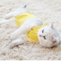 1. Material: fabric
2. Large coverage area, preventing licking behavior
3. Effectively stabilize the wound and help heal
4. Light-colored design, wound problems can be found in time
5. Paste design, tight fit and prevent falling off
6. S: neck circumferen