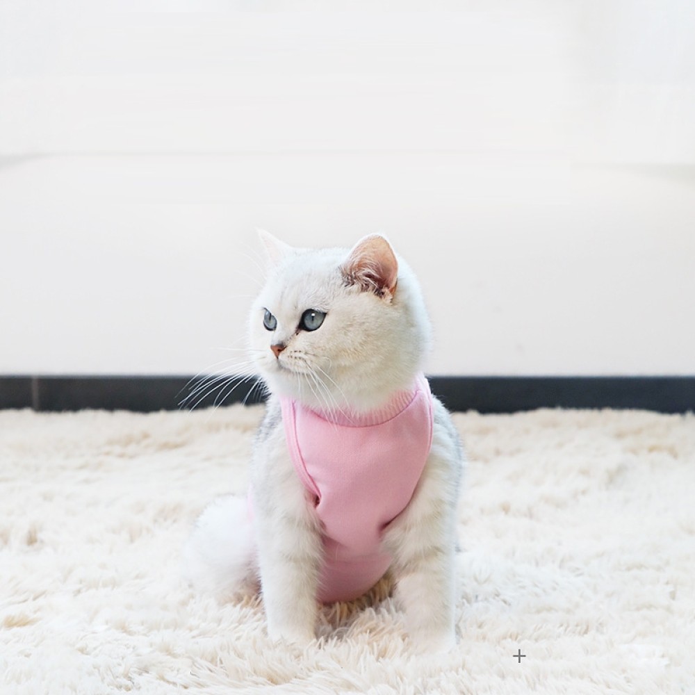 1. Material: fabric
2. Large coverage area, preventing licking behavior
3. Effectively stabilize the wound and help heal
4. Light-colored design, wound problems can be found in time
5. Paste design, tight fit and prevent falling off
6. S: neck circumferen