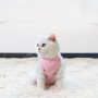 1. Material: fabric
2. Large coverage area, preventing licking behavior
3. Effectively stabilize the wound and help heal
4. Light-colored design, wound problems can be found in time
5. Paste design, tight fit and prevent falling off
6. S: neck circumferen