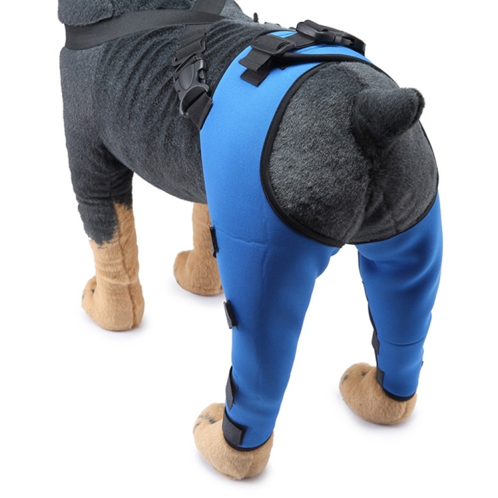 מגן לברך לכלבים בגודל M (כחול)