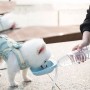 קערת מים ניידת לחתול עם ראש ריבועי, כוס ניידת לכלב עם מזרן צבע ורוד