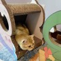 לוח לחיטוי חתולים מגולגל, אביזר משחק לחתולים, מסגרת טיפוסים (קטן), בצבע ורוד