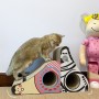 מרימה ורכיבה אנכית לחתול עם משחק סטיילישי, ספקיפיקציה: נחלת שבלול