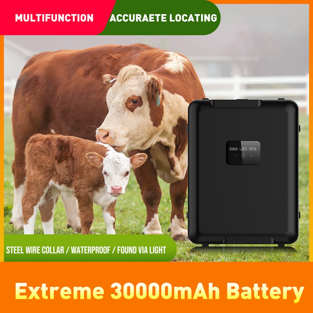 RF-V24 מעקב סולארי 4G עם זכרון 4G