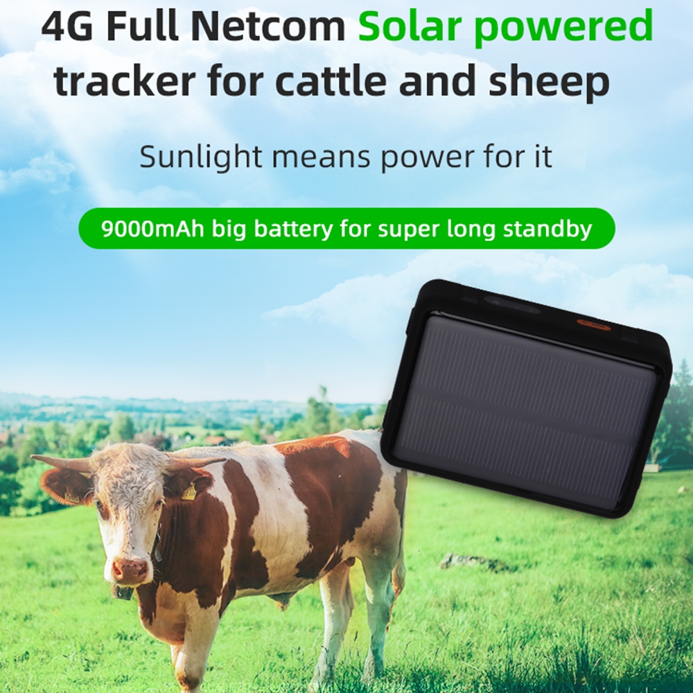 V55 מעקב על צאצאים עמיד במים עם 20000mAh