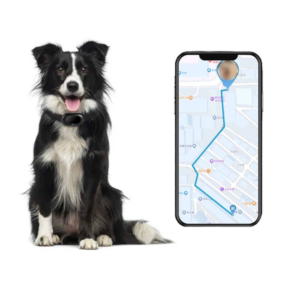V41 מעקב חכם על חיות מחמד עם עמידות במים IP67