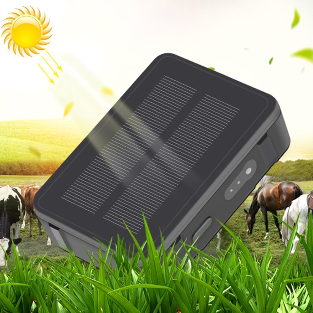 RF-V43 B סגנון מעקב GPS ו־LBS על חיות מחמד עם עמידות במים IP67