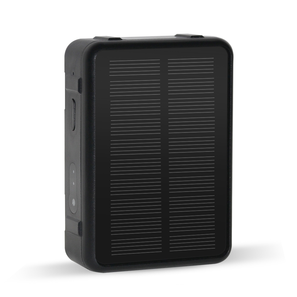 RF-V43 B סגנון מעקב GPS ו־LBS על חיות מחמד עם עמידות במים IP67