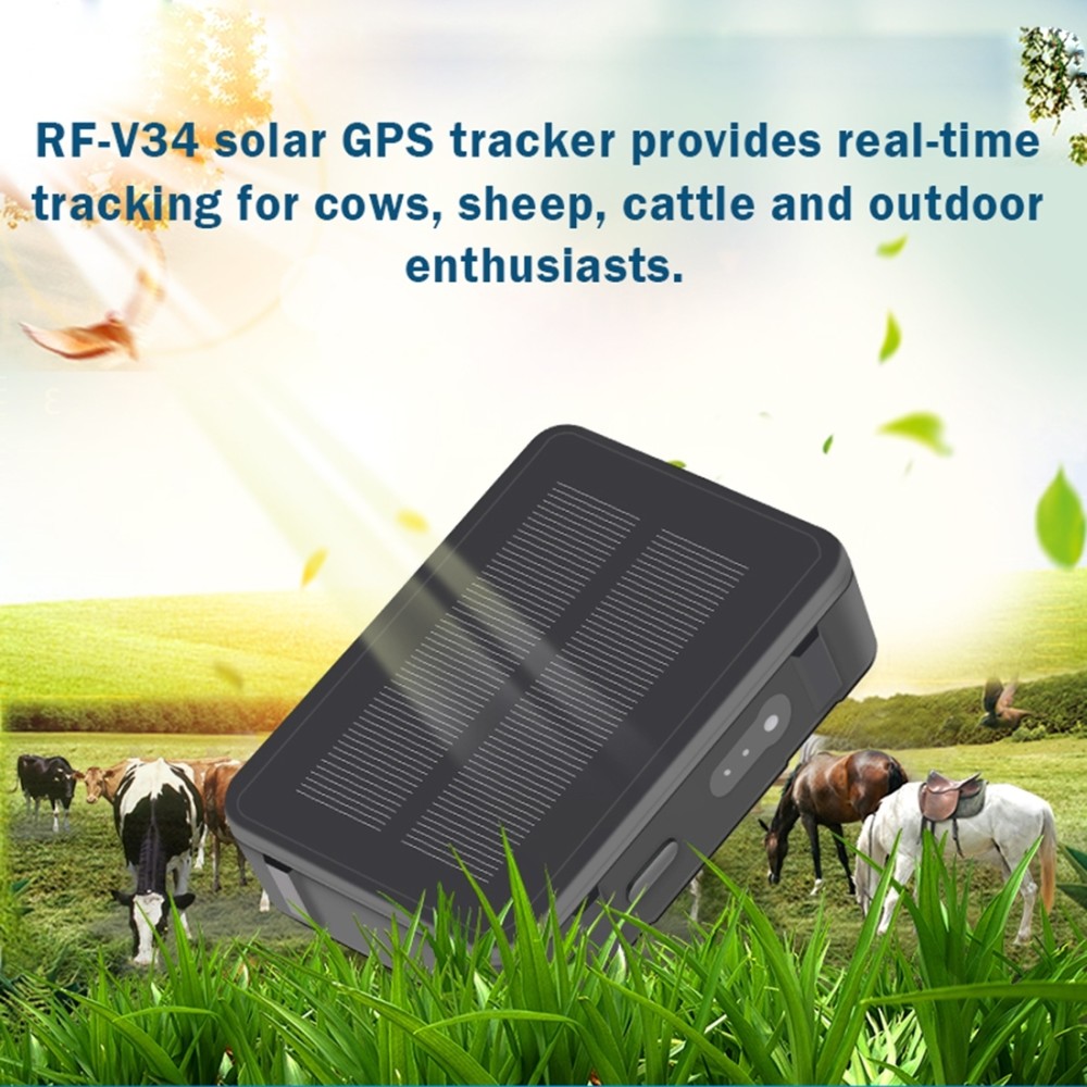 RF-V43 B סגנון מעקב GPS ו־LBS על חיות מחמד עם עמידות במים IP67