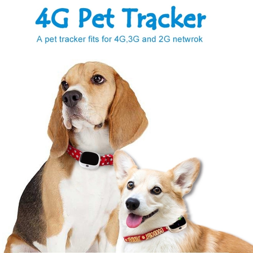 TKSTAR TK935 מעקב על חיות מחמד ובקרים עם GPS ועמידות במים IP65