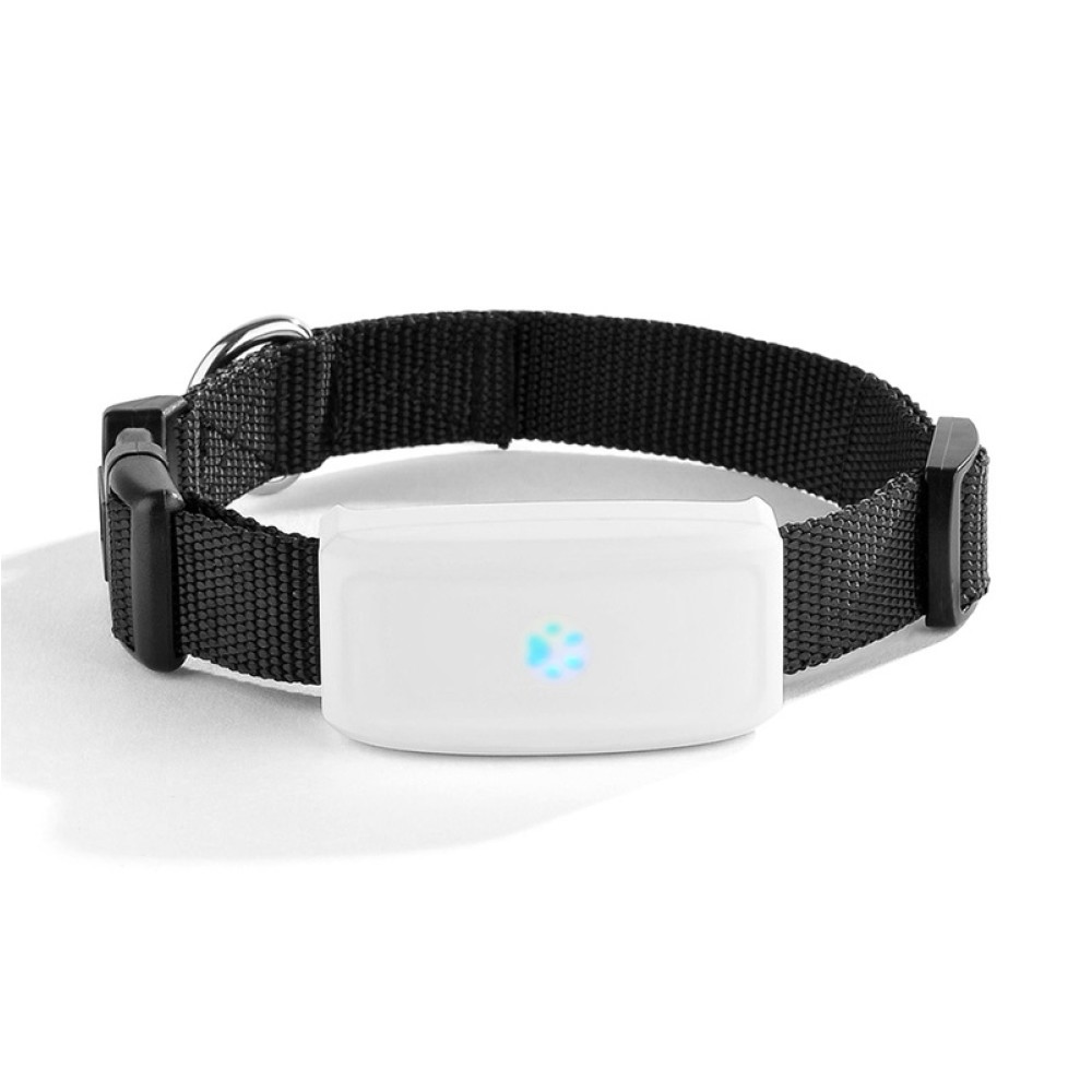 TK911 מעקב GPS עמיד במים לחיות מחמד