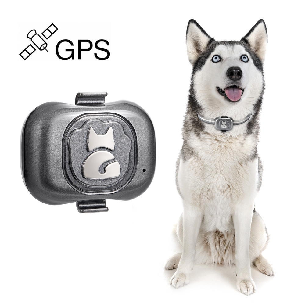 G16 מעקב GPS לחיות מחמד חכם עמיד במים IP67 לכלב ולחתול