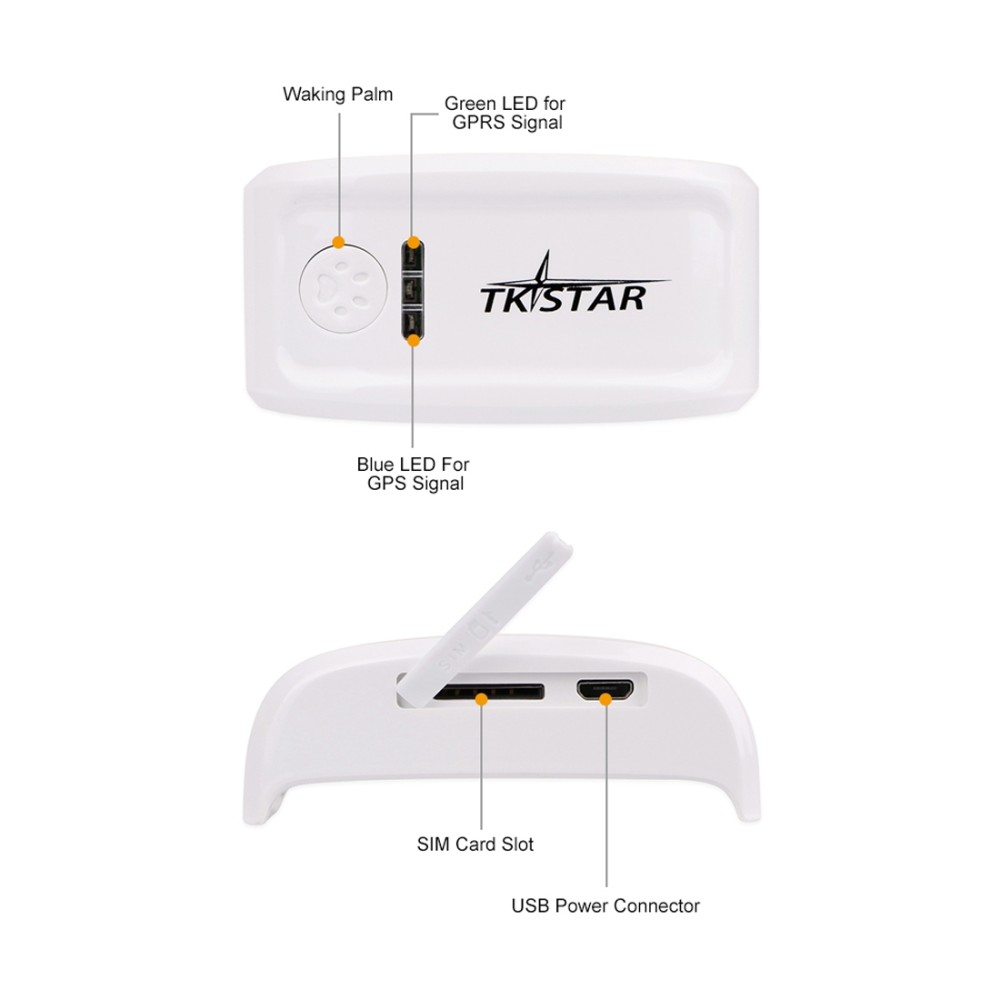 TK-909 GPS / GPRS / GSM למעקב אחר חיות מחמד בזמן אמת