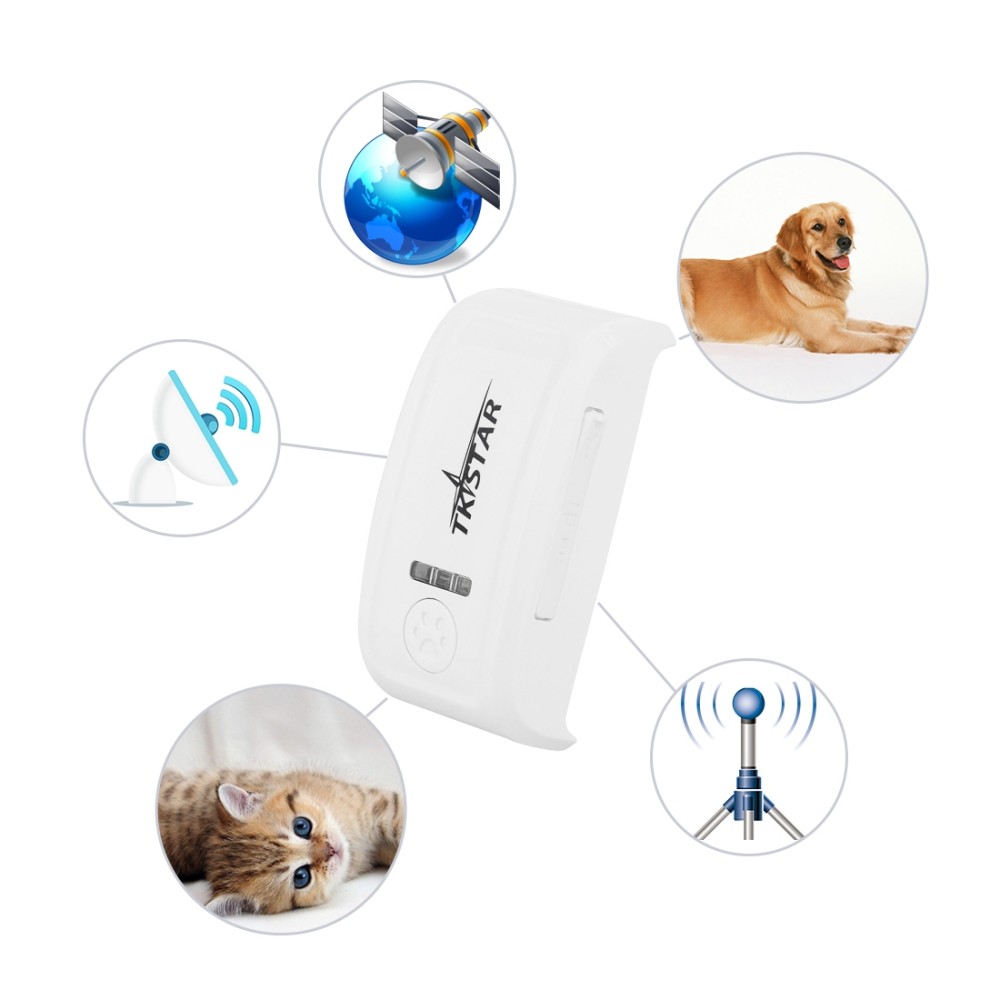 TK-909 GPS / GPRS / GSM למעקב אחר חיות מחמד בזמן אמת