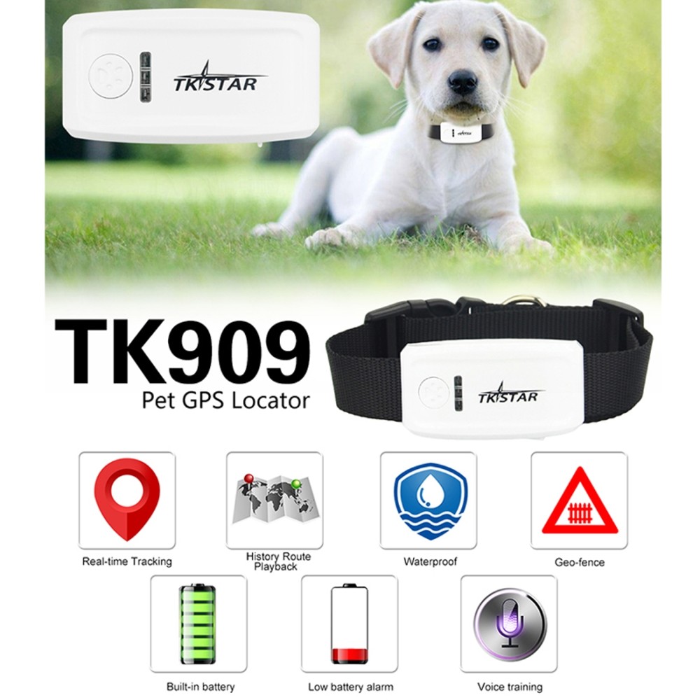 TK-909 GPS / GPRS / GSM למעקב אחר חיות מחמד בזמן אמת