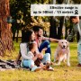 מכשיר אולטרסוני לעצירת העצרת העצרת חשמלית במגע עם העצרת, צבע: כסף