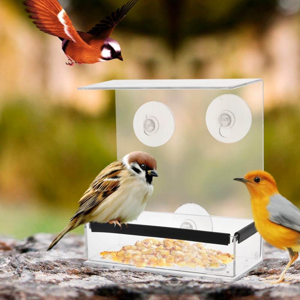 כפרה מרובעת שקופה מפלקסיגלס להאכלת ציפורים